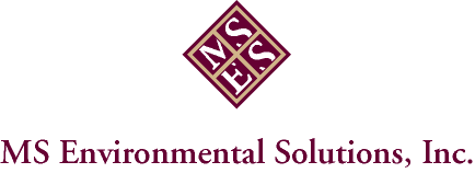 mses logo